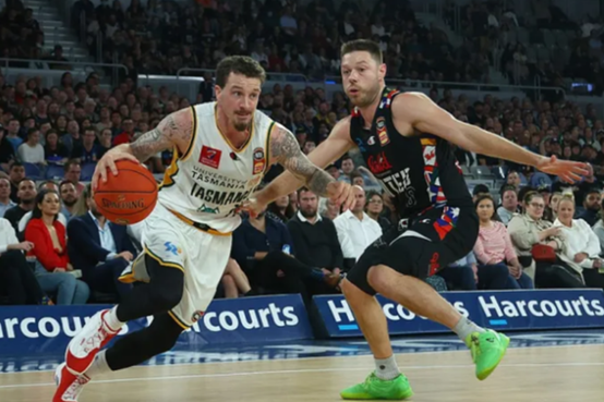 NBL:珀斯野猫VS塔斯马尼亚跳伞蚁的简单介绍 第2张 NBL:珀斯野猫VS塔斯马尼亚跳伞蚁的简单介绍 第2张