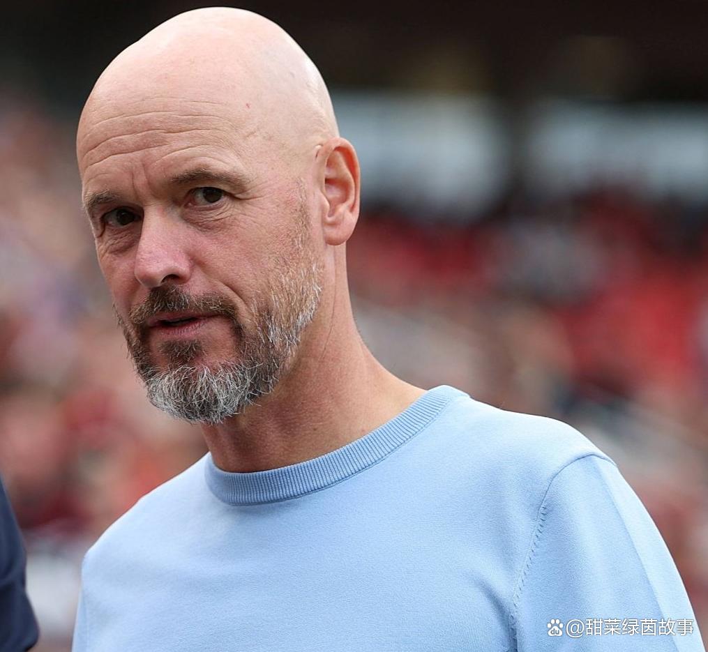 关于德甲勒沃库森vs霍芬海姆前瞻预测主场强势与升降压力的交锋的信息