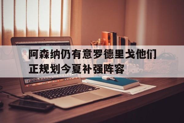 关于阿森纳仍有意罗德里戈他们正规划今夏补强阵容的信息