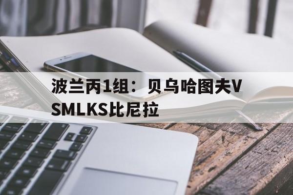 波兰丙1组：贝乌哈图夫VSMLKS比尼拉的简单介绍  第1张