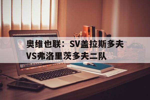 奥维也联：SV盖拉斯多夫VS弗洛里茨多夫二队的简单介绍  第1张
