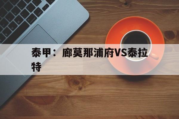 包含泰甲：廊莫那浦府VS泰拉特的词条  第1张